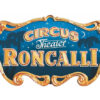 57142 Piko S-Set Roncalli. A-Gleis & B mit RC - Afbeelding 3