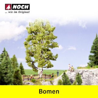 Noch Bomen