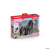 42620 Schleich BEAUTYPAARD QUARTER HORSE-MERRIE - Afbeelding 4