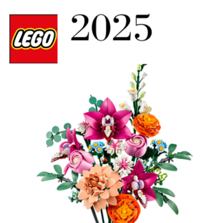 2025 LEGO® nieuw