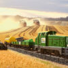 29653 Marklin Startpackung Landwirtschaft(S - Afbeelding 3